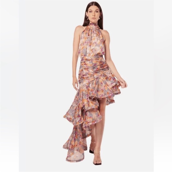 NWT Elliott historical watercolor print high neck asymmetrical gown dress size s - Picture 5 of 6